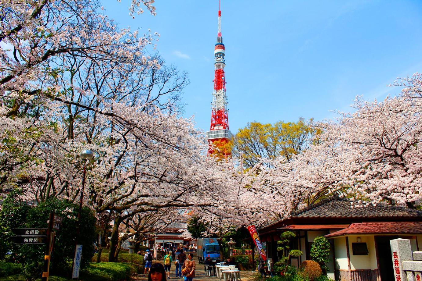 Rose Stay Tokyo Shiba Park 외부 사진