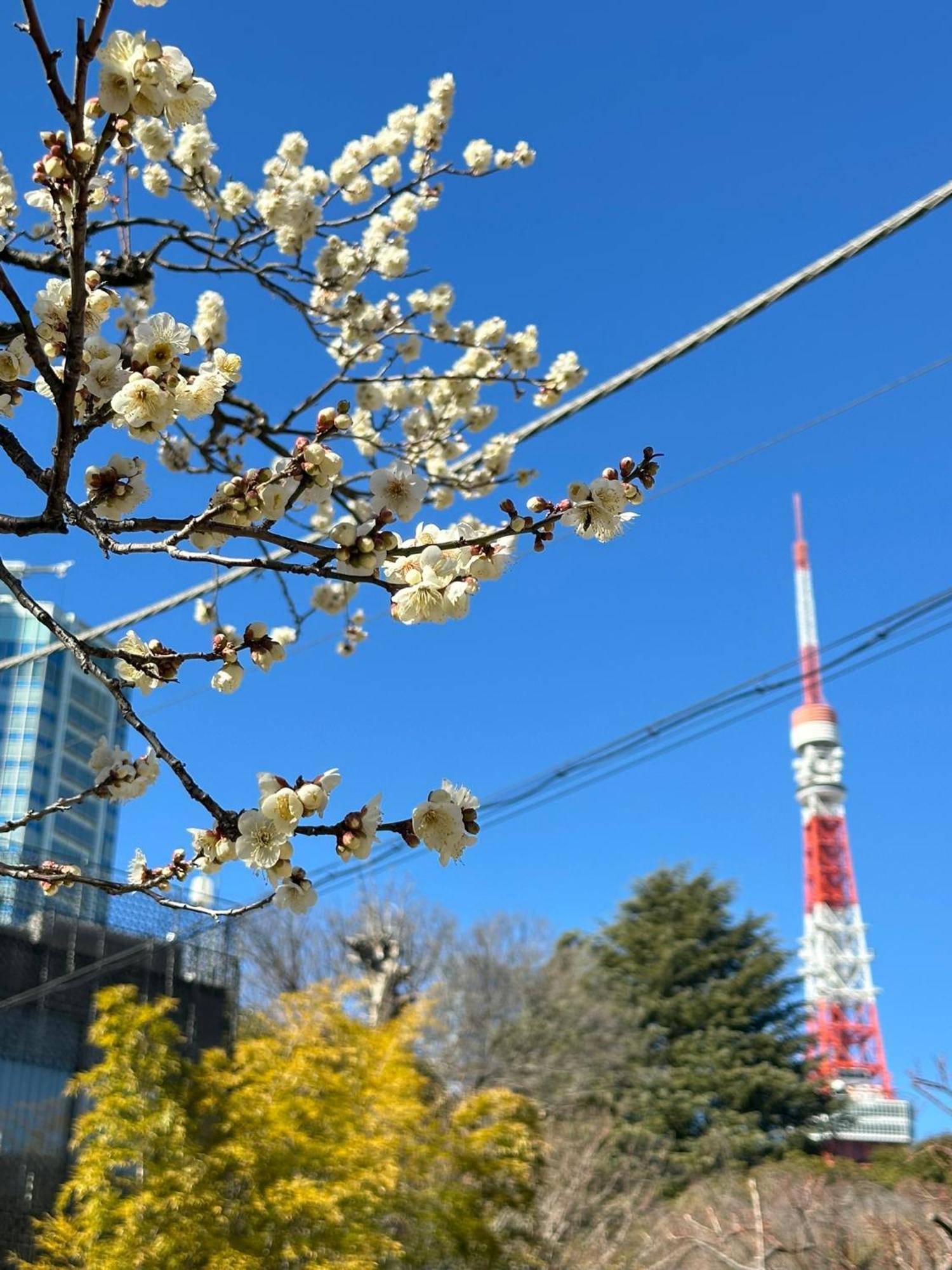 Rose Stay Tokyo Shiba Park 외부 사진